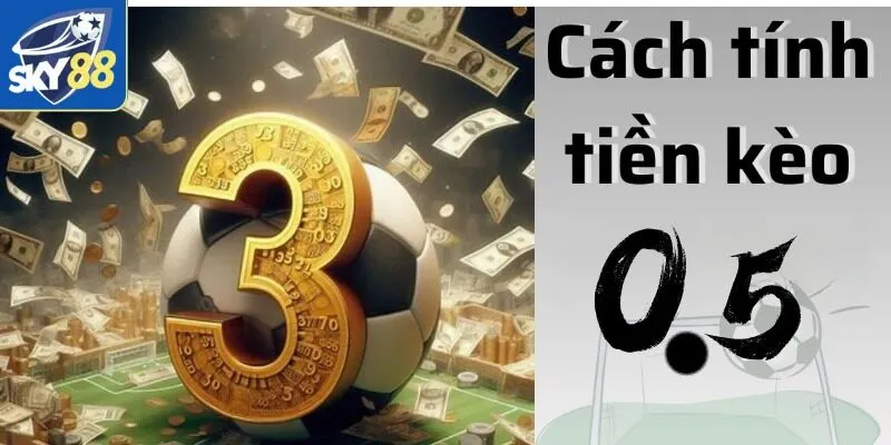Kèo Chấp 0.5 - Sự Lựa Chọn Hàng Đầu Dành Cho Cược Thủ 3 Hướng dẫn cách tính tiền kèo 0.5 siêu chuẩn