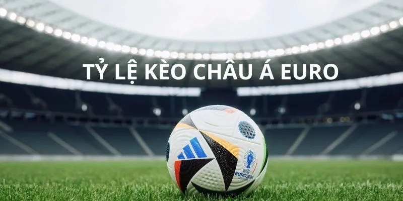 Tỷ lệ cá cược bóng đá Euro - Điều quan trọng bạn cần biết 2 Tỷ lệ Handicap được rất nhiều người quan tâm